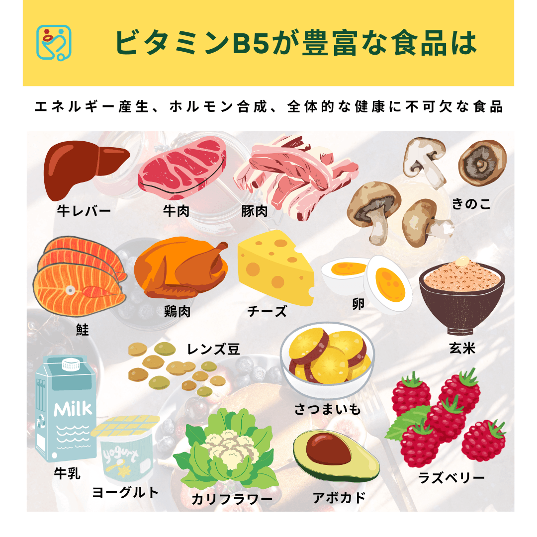ビタミンB5が豊富な食品は何ですか?